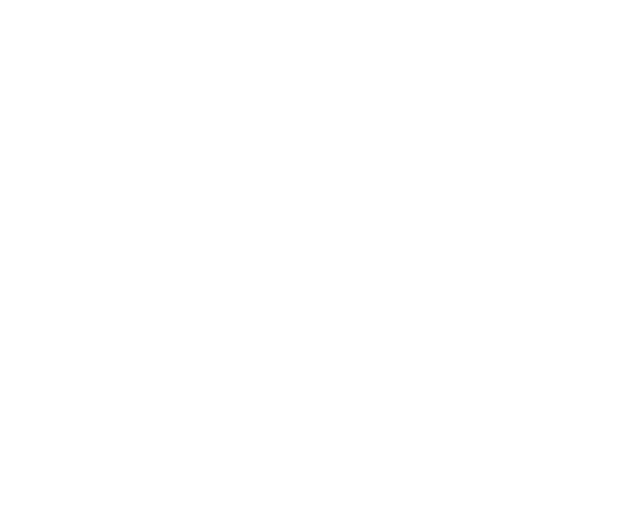 Logo Austral Patagonia