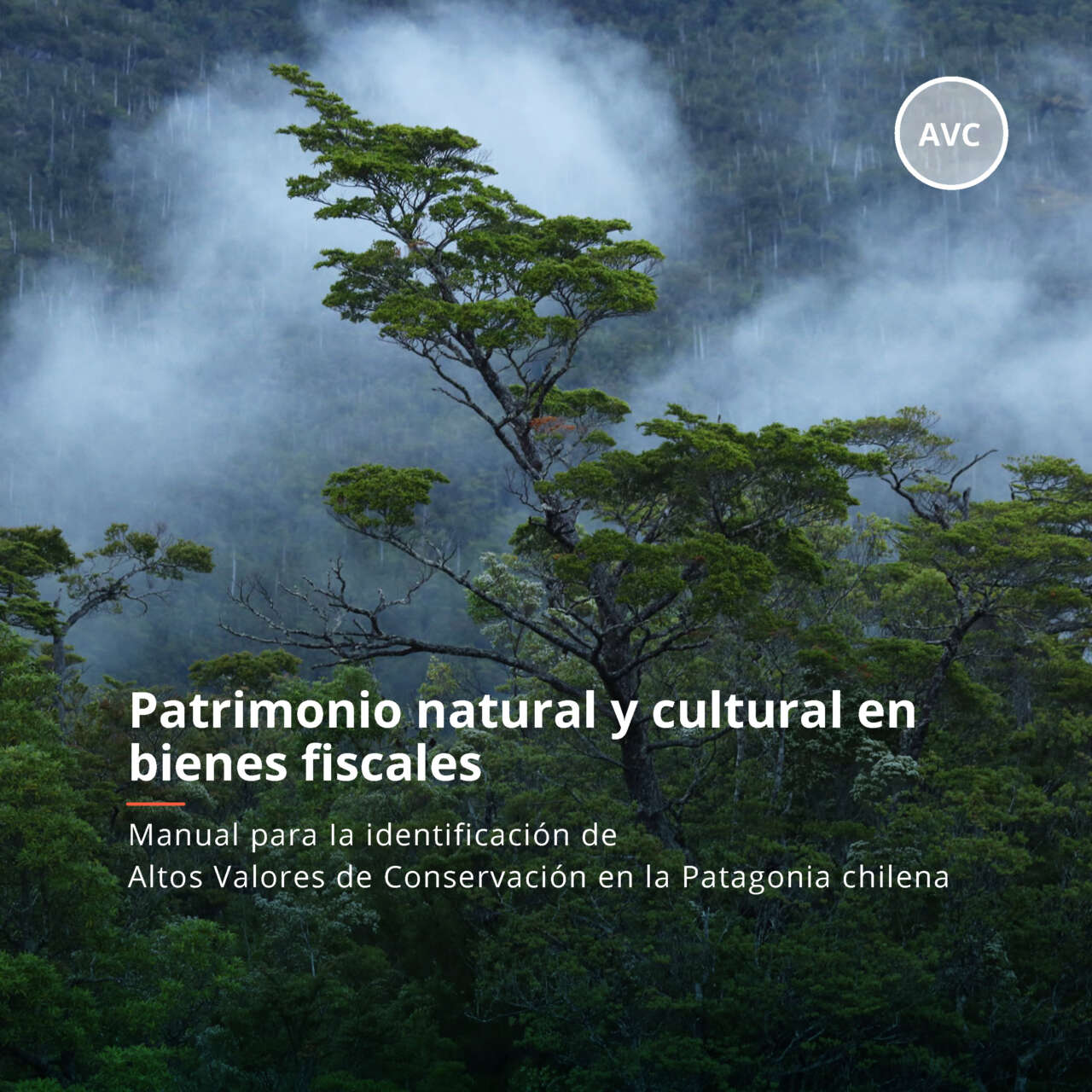 Patrimonio natural y cultural en bienes fiscales: Manual para Ia identificación de Altos Valores de Conservación en la Patagonia chilena