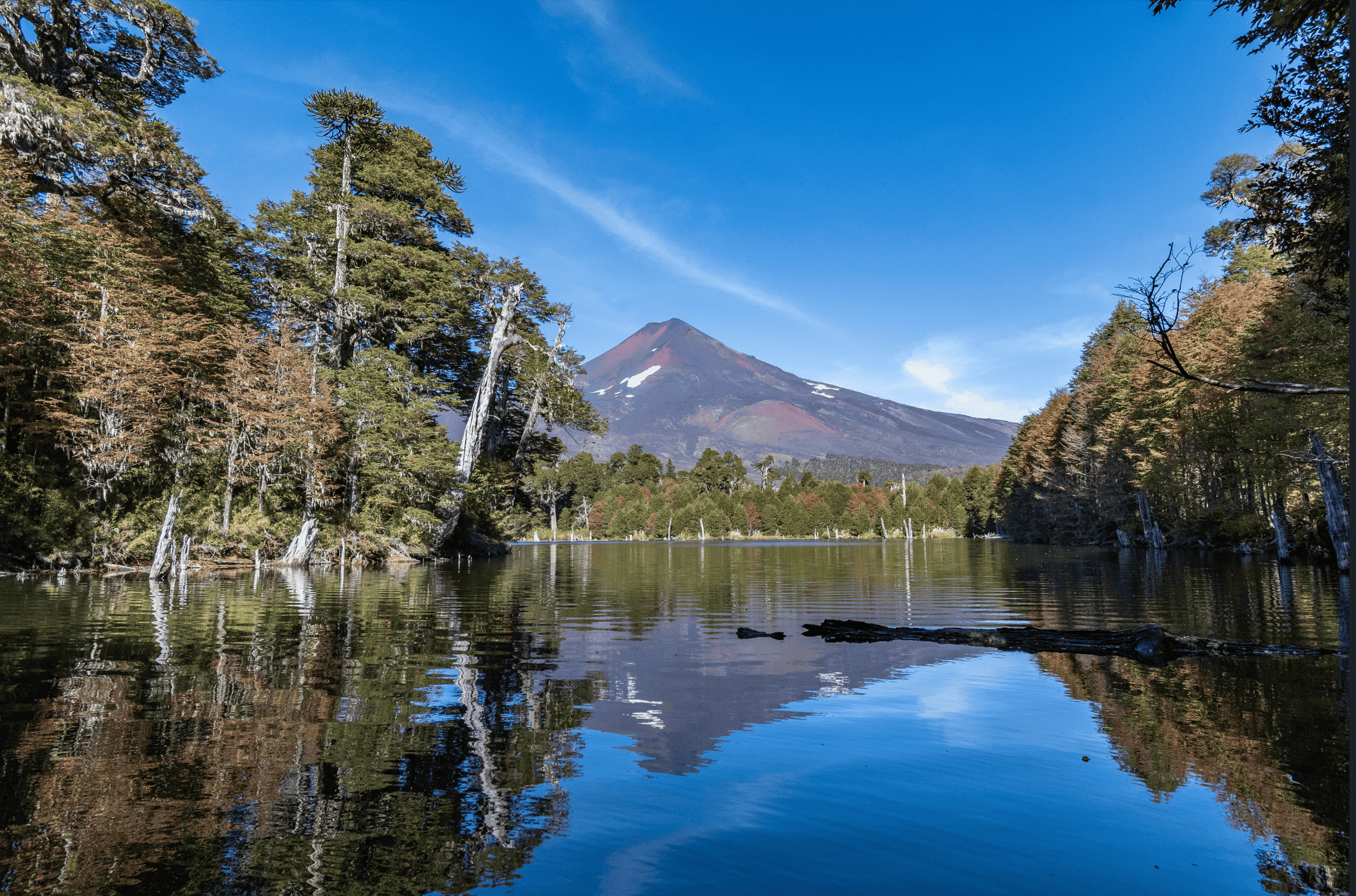 Seminario “Biodiversidad y Bienestar Humano” reunirá a investigadores e investigadoras UACh para reflexionar sobre la gestión y gobernanza de áreas protegidas