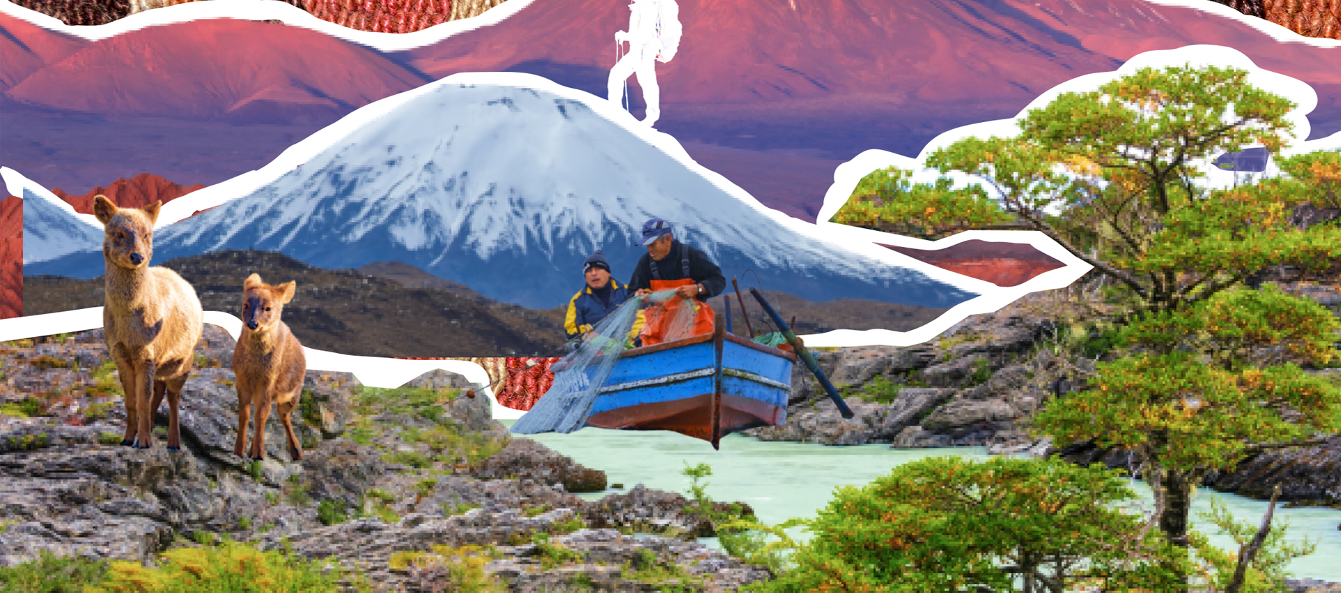 Chile celebra la protección de su biodiversidad en V Encuentro Nacional de Áreas Protegidas y Comunidades Portal