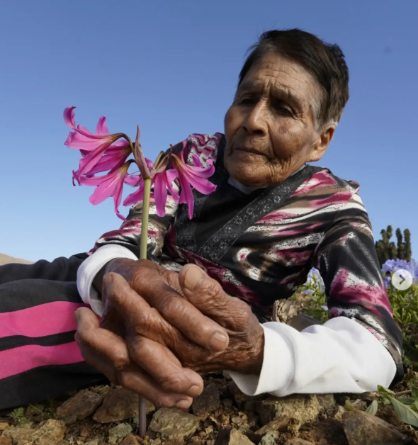 Conoce a las ganadores del concurso de fotos Áreas Protegidas y Bienestar Humano